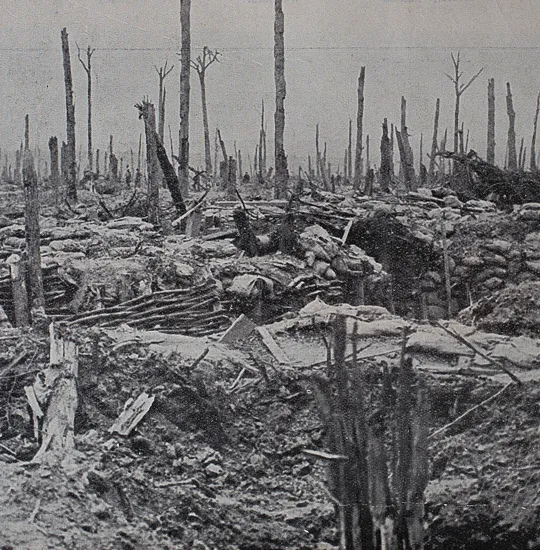 Scene of desolation following the Battle of Messines, 1917.