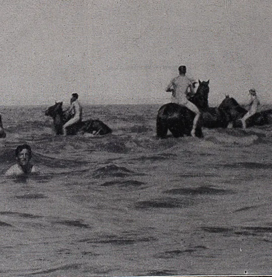New Zealand Mounted Rifles swimming with their horses near El-Arish in the Egyptian Sinai, circa June 1917.